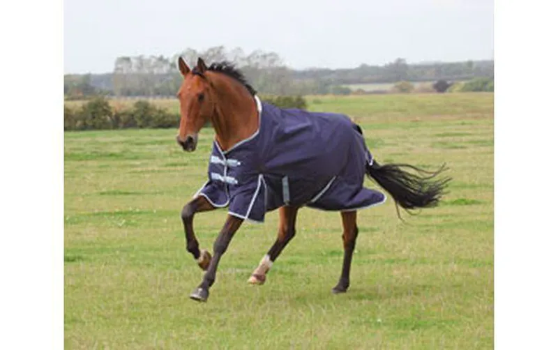 Bridleway Canora Lightweight Rug